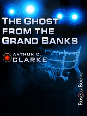 Book cover of The Ghost from the Grand Banks