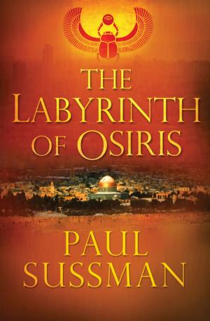 Cover of the book The Labyrinth of Osiris by Gérard de Villiers