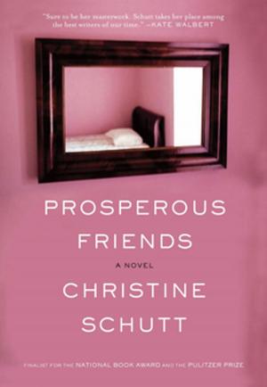 Cover of the book Prosperous Friends by Kiara Brinkman