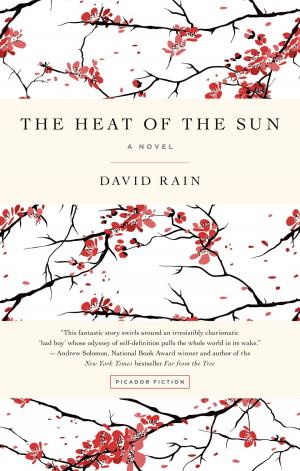 Cover of the book The Heat of the Sun by L.R. Olson