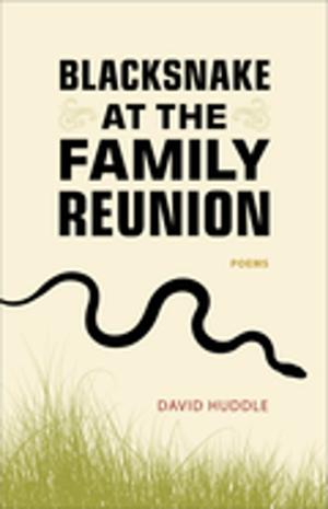Cover of the book Blacksnake at the Family Reunion by David Romtvedt