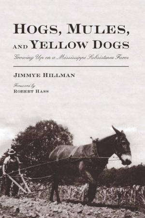 Cover of the book Hogs, Mules, and Yellow Dogs by Ray Gonzalez