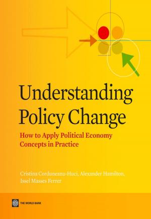 Cover of the book Understanding Policy Change by Vergara Walter; Scholz Sebastian M.
