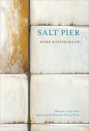 Cover of the book Salt Pier by Ted Kooser