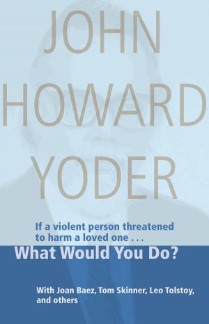 Cover of the book What Would You Do? by Dennis C Stevenson Jr