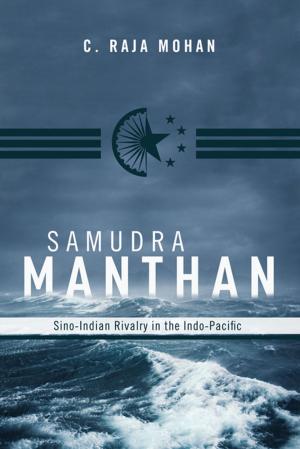 Cover of the book Samudra Manthan by Stephen Hess