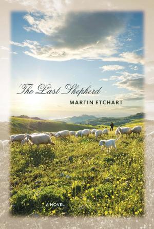 Book cover of The Last Shepherd