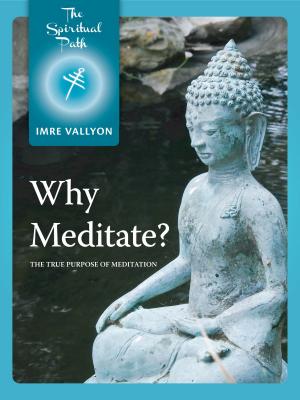 Book cover of Why Meditate?