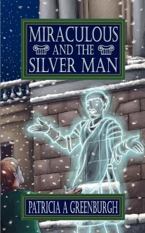 Cover of the book Miraculous and the Silver Man by Geert van Ieperen