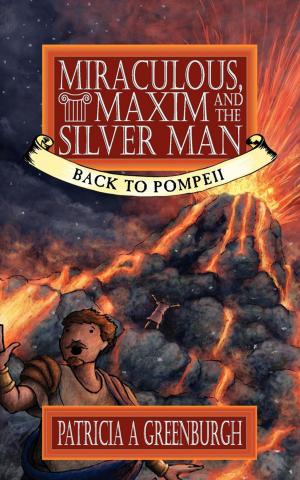 Cover of the book Miraculous, Maxim and the Silver Man by Steve Holyoak