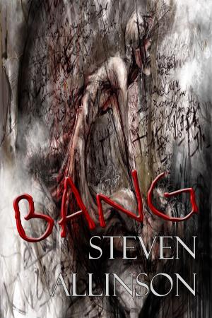 Cover of the book Bang by Jeremy E Owen