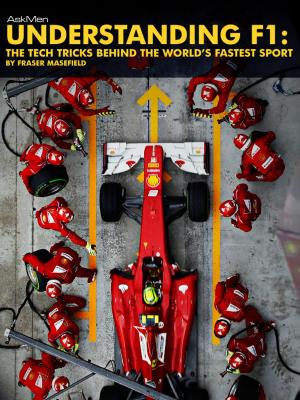 Cover of the book Understanding F1 by Daniele Buzzonetti