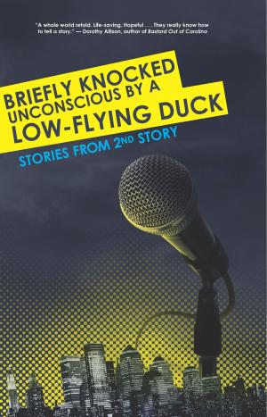Cover of Briefly Knocked Unconscious by a Low-Flying Duck