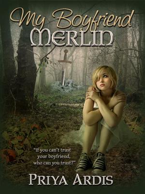 bigCover of the book My Boyfriend Merlin by 