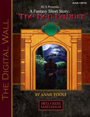 Cover of the book The Digital Wall: The Red Bandit by Lilly Rayman