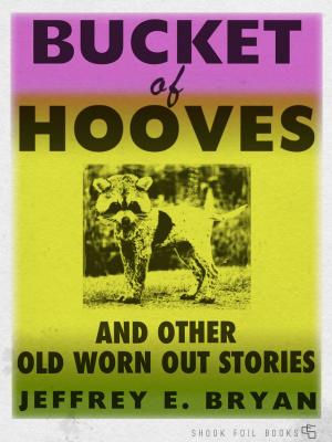 Cover of the book Bucket of Hooves and Other Old Worn Out Stories by 王 穆提