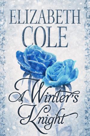 Cover of the book A Winter's Knight by Elizabeth Cole