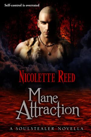Cover of the book Mane Attraction (A Soulstealer Novella, Book #1.5) by Daniel Cotton