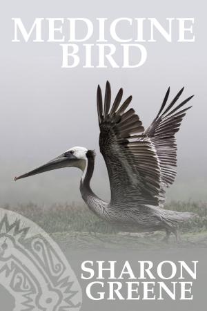 Cover of the book Medicine Bird by Joanne Pence