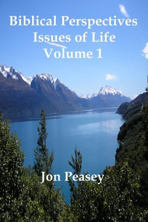 Book cover of Biblical Perspectives: Issues of Life Volume 1
