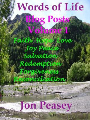 Cover of the book Words of Life Blog Posts Volume 1 by Jon Peasey