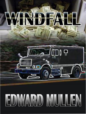 Cover of the book Windfall by Nicola Serafini