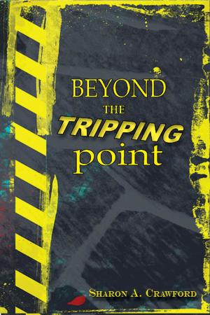 Book cover of Beyond the Tripping Point