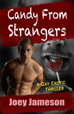 Cover of the book Candy From Strangers: A Gay Erotic Thriller by Madison Martin