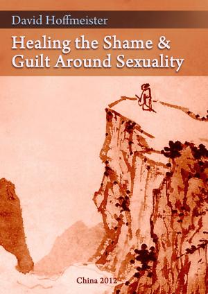 bigCover of the book Healing the Shame and Guilt around Sexuality by 