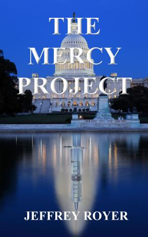 Cover of the book The Mercy Project by John Leifer