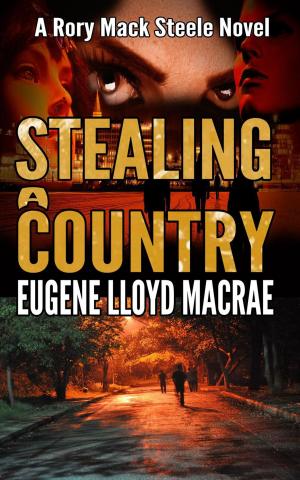 Cover of the book Stealing a Country by J.L. Savage