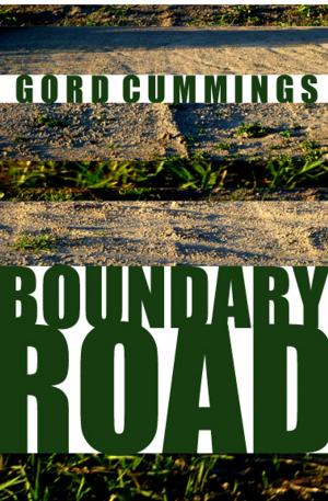 Cover of the book Boundary Road by A.E. Via
