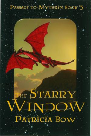 bigCover of the book The Starry Window by 