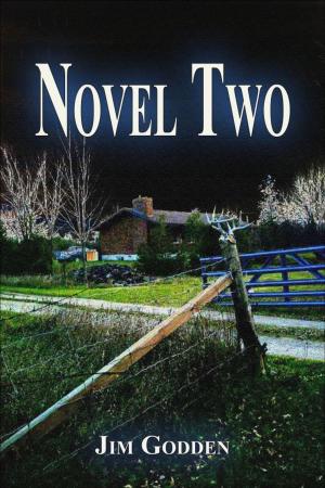Cover of the book Novel Two by Jack Slater