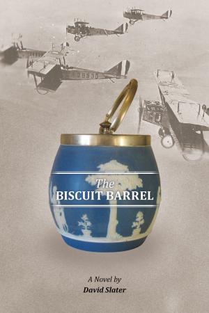 Cover of the book The Biscuit Barrel by Ian Macdonald
