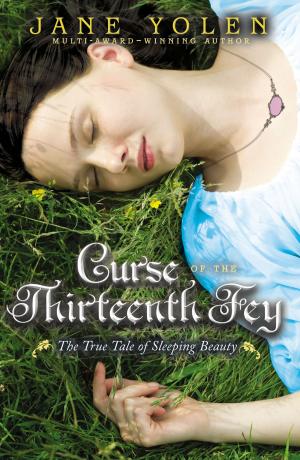 Cover of the book Curse of the Thirteenth Fey by Janice Repka