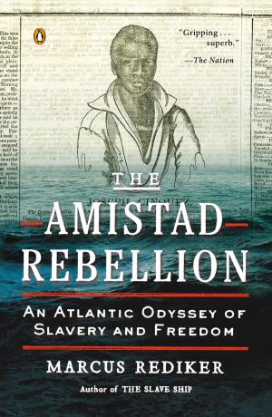 Book cover of The Amistad Rebellion