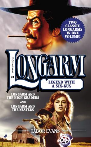 Book cover of Longarm Double #4