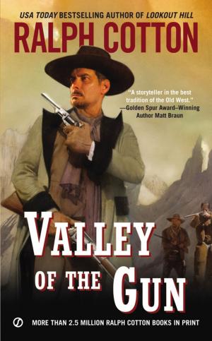 Cover of the book Valley of the Gun by Alfred Bekker, Glenn Stirling, Heinz Squarra, R. S. Stone