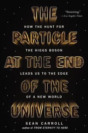 Book cover of The Particle at the End of the Universe
