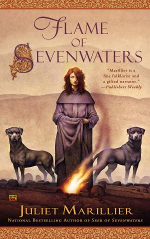 Book cover of Flame of Sevenwaters