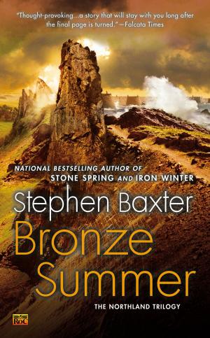 Cover of the book Bronze Summer by T. L. Shreffler