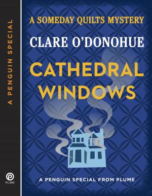 Cover of the book Cathedral Windows by Joyce and Jim Lavene