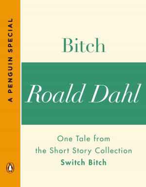 Cover of the book Bitch by Daniel Silva