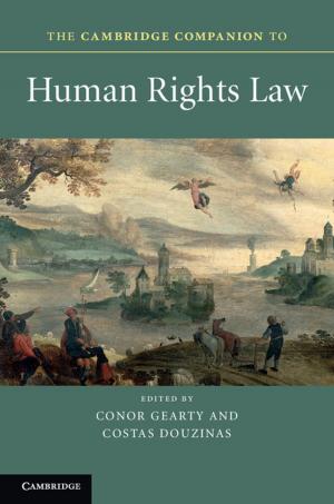 Cover of the book The Cambridge Companion to Human Rights Law by Robert L. Hetzel