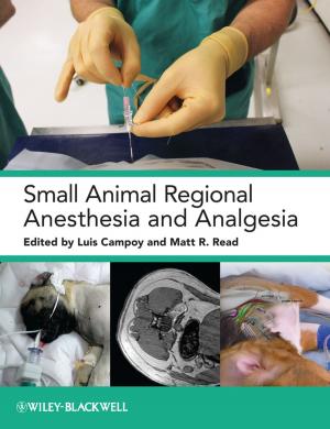Cover of the book Small Animal Regional Anesthesia and Analgesia by 