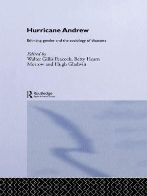 Cover of the book Hurricane Andrew by Dvora Yanow, Peregrine Schwartz-Shea