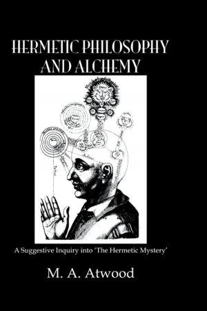 Cover of the book Hermetic Philosophy & Alchemy by Patrick Hanafin