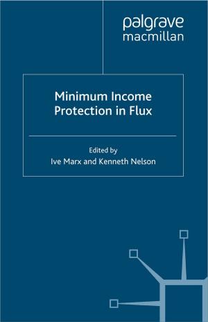 Cover of the book Minimum Income Protection in Flux by Danijela Majstorovic, Vladimir Turjacanin