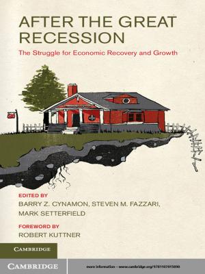 Cover of the book After the Great Recession by David P. Stone
